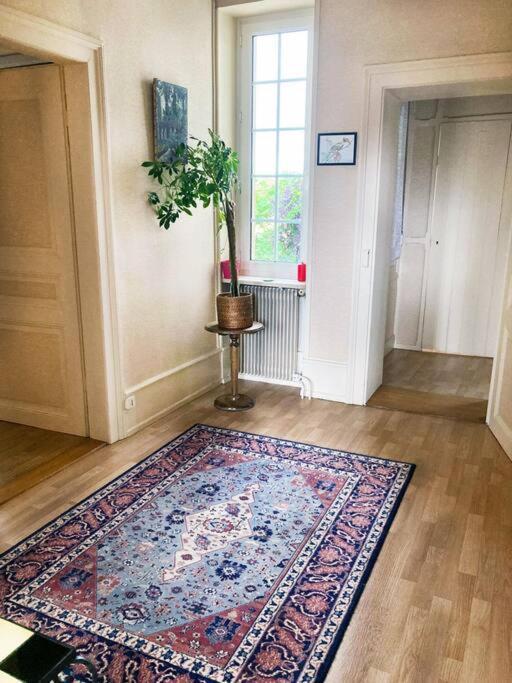 Charmant T3 Proche Du Centre-Ville Colmar Ngoại thất bức ảnh