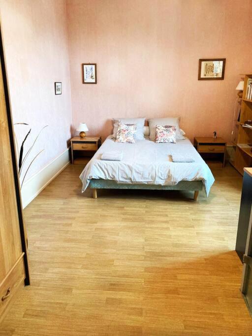 Charmant T3 Proche Du Centre-Ville Colmar Ngoại thất bức ảnh