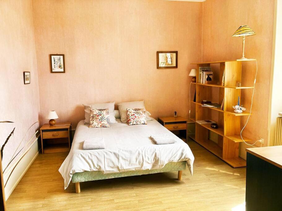 Charmant T3 Proche Du Centre-Ville Colmar Ngoại thất bức ảnh